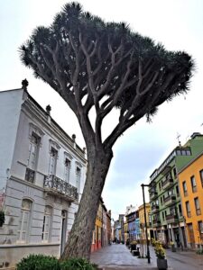 La Laguna